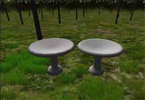 Bird Bath